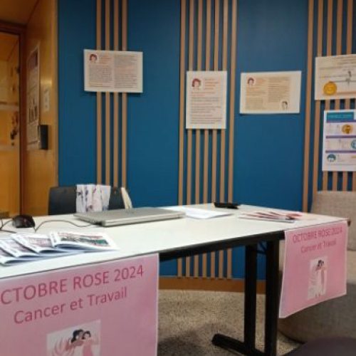 F-ROGUET-octobre-rose-8